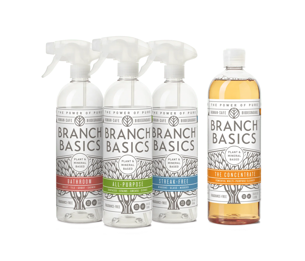 Cleaning Essentials Kit